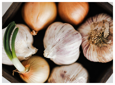 garlic